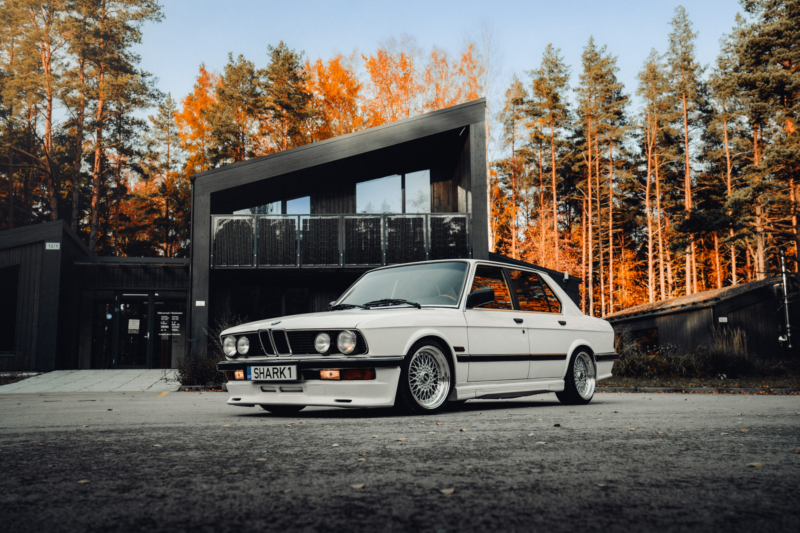 A Timeless Classic: BMW 528